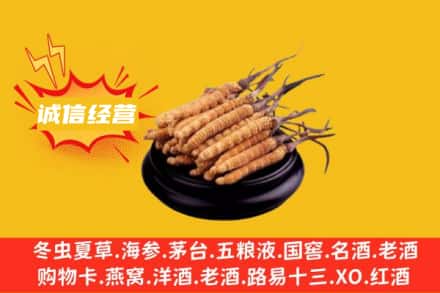 黄石市黄石港回收冬虫夏草